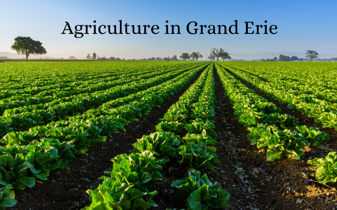 Grand Erie’s Agricultural Industry