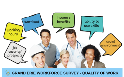 Quality of Work – New Local Survey